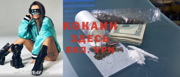 сатива Абаза