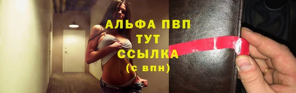 сатива Абаза